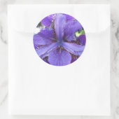 Sticker Rond Brandeis (Sac)