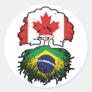 Sticker Rond Brésil Brésil Brésil Canada drapeau des racines de
