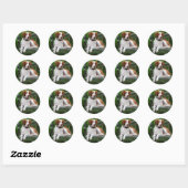Sticker Rond Bretagne (Feuille)
