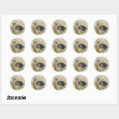 Sticker Rond Bretagne Espagnol et bécasse (Feuille)