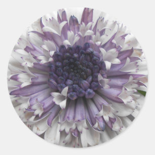 Sticker Rond Brett
