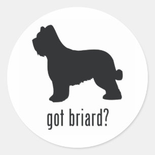Sticker Rond Briard