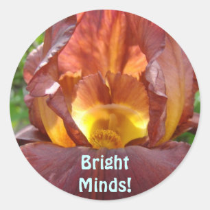 Sticker Rond Bright Minds! aimants Fleur d'Iris Lumineuse Étudi