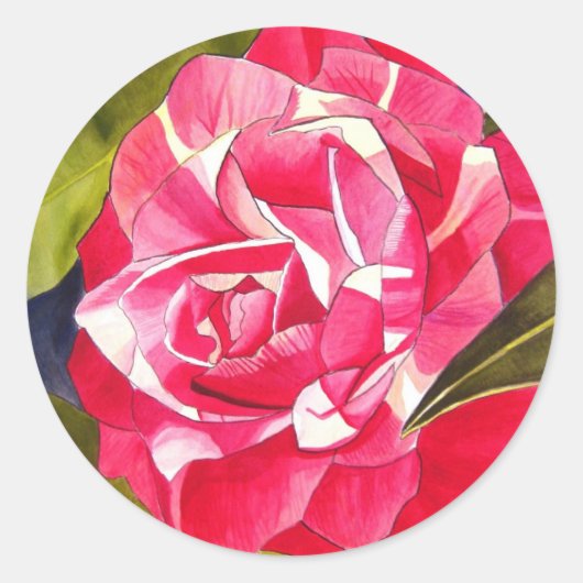 Sticker Rond Bright pink Camellia watercolor art flower (Devant)