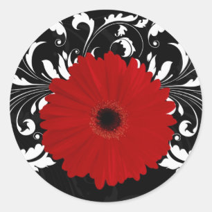 Sticker Rond Bright Red Gerbera Daisy on Black