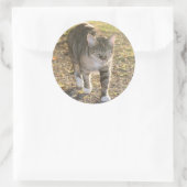 Sticker Rond Brin (Sac)