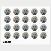 Sticker Rond Brindle Pit Bull Puppy par Shirley Taylor (Feuille)
