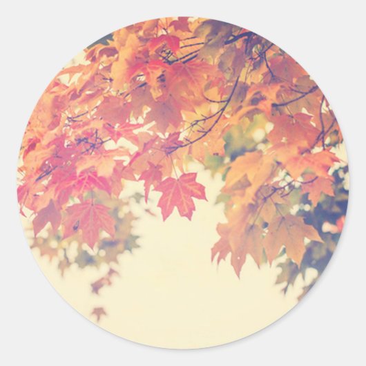 Sticker Rond Brise d'automne (Devant)