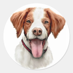 Sticker Rond Brittany Bust