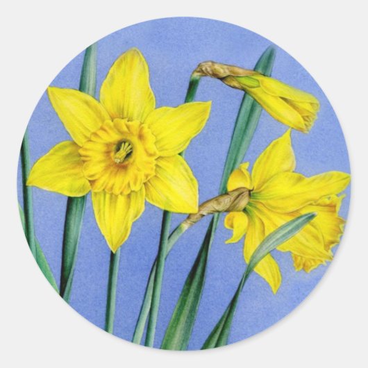 Sticker Rond Brochure de printemps jonquille d'art jaune peint (Devant)