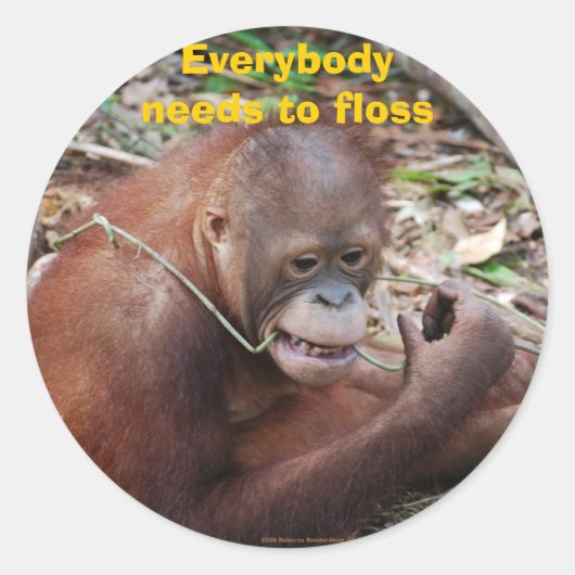 Sticker Rond Brochures de soins dentaires (Devant)