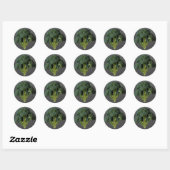 Sticker Rond Brocoli (Feuille)