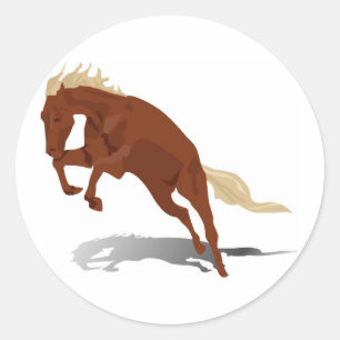 Sticker Rond Bronco