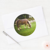 Sticker Rond Brouillon après le bain (Enveloppe)