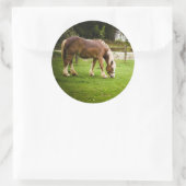 Sticker Rond Brouillon après le bain (Sac)