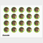 Sticker Rond Brown+Bleu+Chouette verte autocollants/ajouter un  (Feuille)