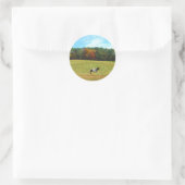 Sticker Rond Brown & cheval blanc, arbres d'automne, ciel bleu (Sac)