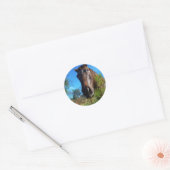 Sticker Rond Brown et crème Couleur Cheval bleu ciel (Enveloppe)