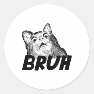 Sticker Rond Bruh Choqué Gasp Chat amusant