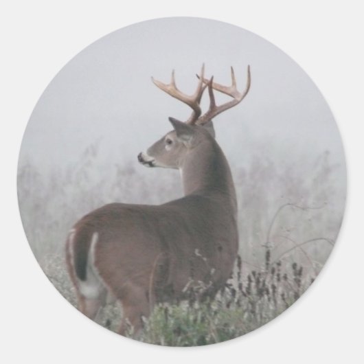 Sticker Rond bruiser (Devant)