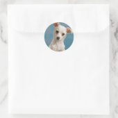Sticker Rond Bruno le chiot Chihuahua (Sac)