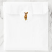 Sticker Rond Bruxelles Griffon Bruxellois mignon Chien chiot (Sac)