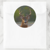 Sticker Rond Buck à queue blanche (Sac)