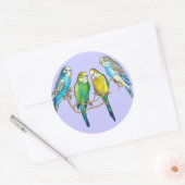 Sticker Rond budgeri (Enveloppe)