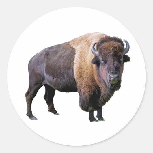 Sticker Rond buffle (Devant)