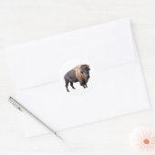 Sticker Rond buffle (Enveloppe)