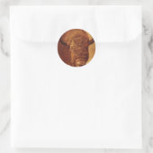 Sticker Rond Buffle / Bison (Sac)
