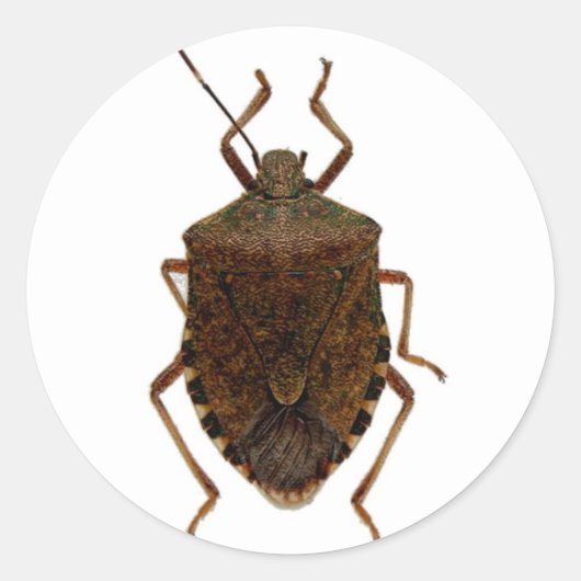 Sticker Rond Bug puant (Devant)