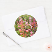 Sticker Rond Bugle Lily (Watsonia) Fleur, Cap Est (Enveloppe)
