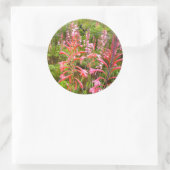 Sticker Rond Bugle Lily (Watsonia) Fleur, Cap Est (Sac)