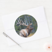 Sticker Rond Bull (Enveloppe)