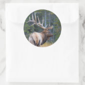 Sticker Rond Bull (Sac)