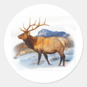 Sticker Rond bull elk t idea.pdf