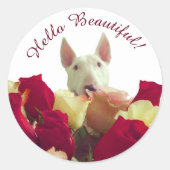 Sticker Rond Bull terrier avec rose - Bonjour belle (Devant)