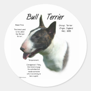Sticker Rond Bull Terrier (couleur)