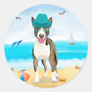 Sticker Rond Bull Terrier sur la plage