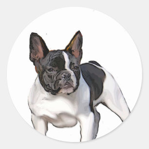 STICKER ROND BULLDOG FRANÇAIS NOIR ET BLANC
