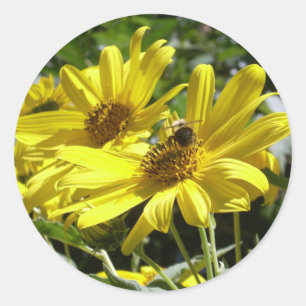 Sticker Rond Bumblebee et le tournesol