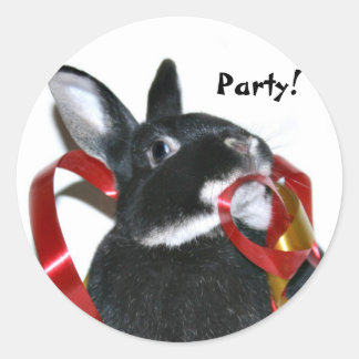 Sticker Rond Bunny