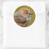Sticker Rond Bushtit au printemps (Sac)