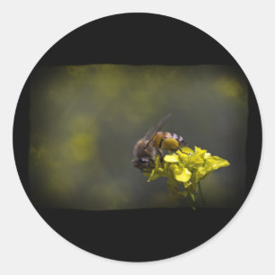 Sticker Rond Busy Bee