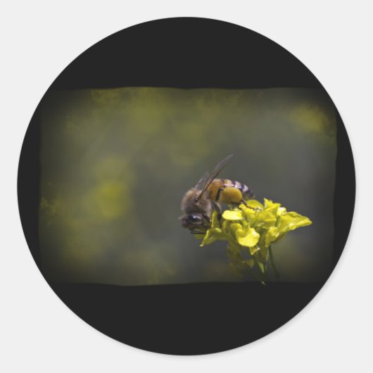 Sticker Rond Busy Bee (Devant)