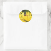 Sticker Rond Busy Bee (Sac)