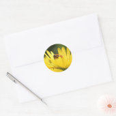 Sticker Rond Busy Bee (Enveloppe)