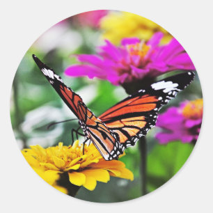 Sticker Rond Butterfly on Flowers #2