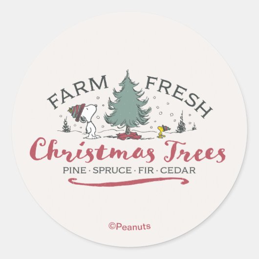 Sticker Rond cacahuètes | Arbres de Noël frais de ferme (Devant)